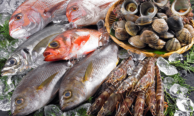 海鮮のこだわり